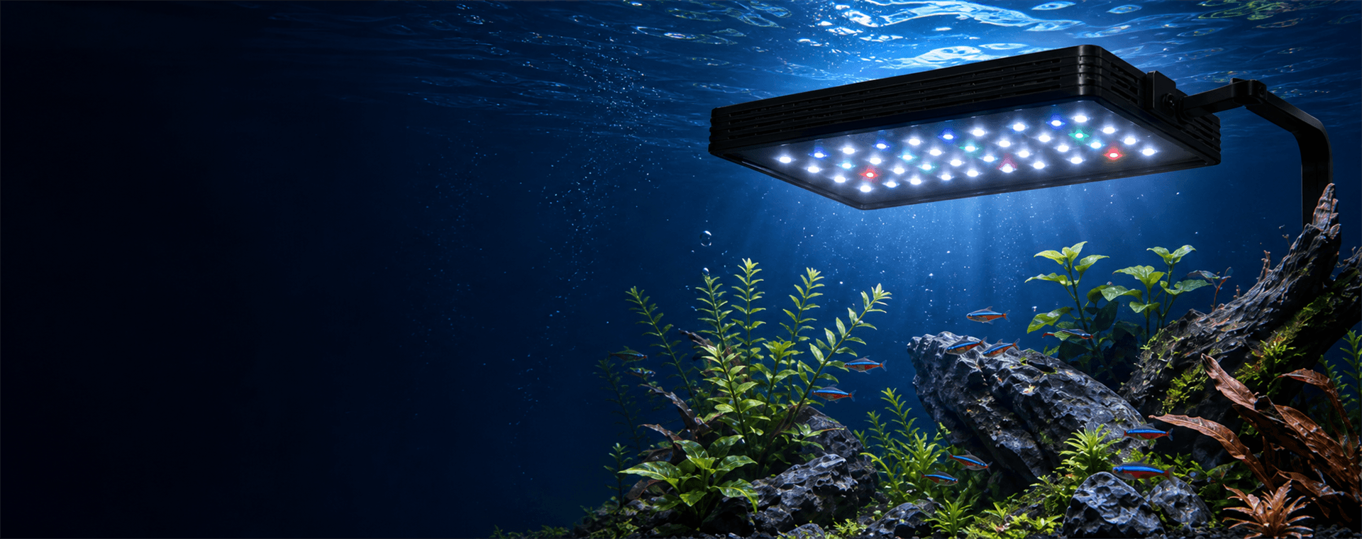 How to Choose the Right Aquarium Light for Your Market