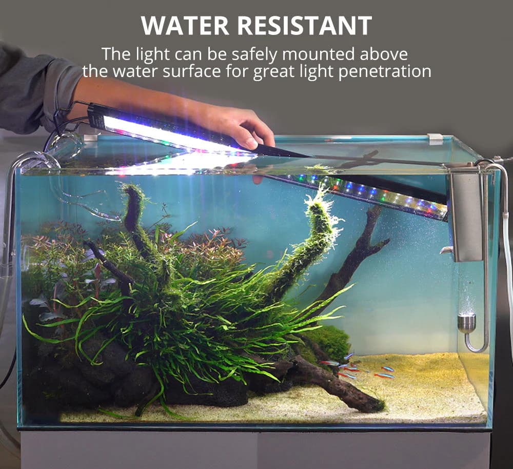 Water-resistant freshwater aquarium light mounted above a planted tank